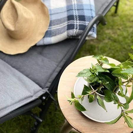 Designer Sventoji * Palanga